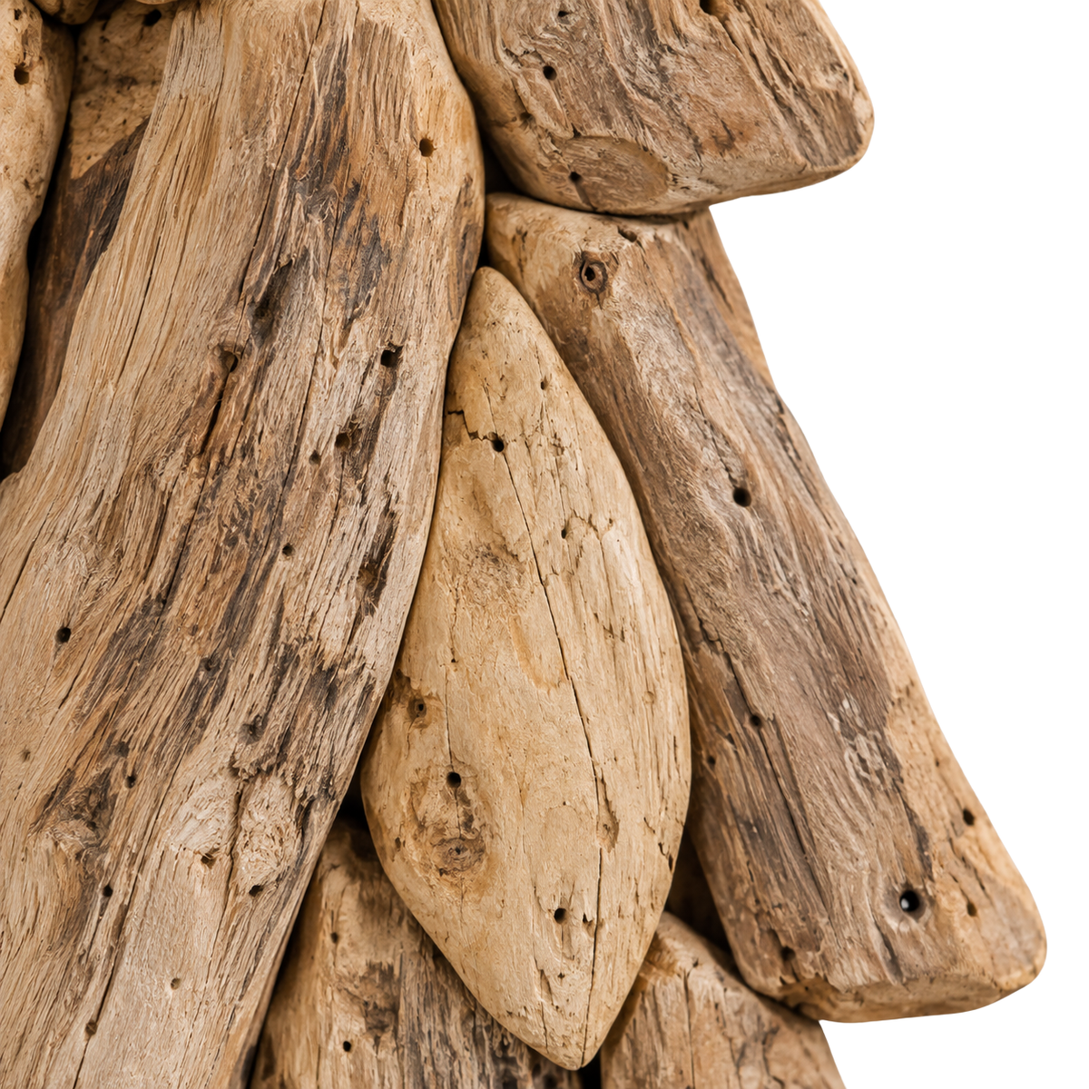 Sapin Bois de Teck sculpture brut sur pied | Sapin Élégance