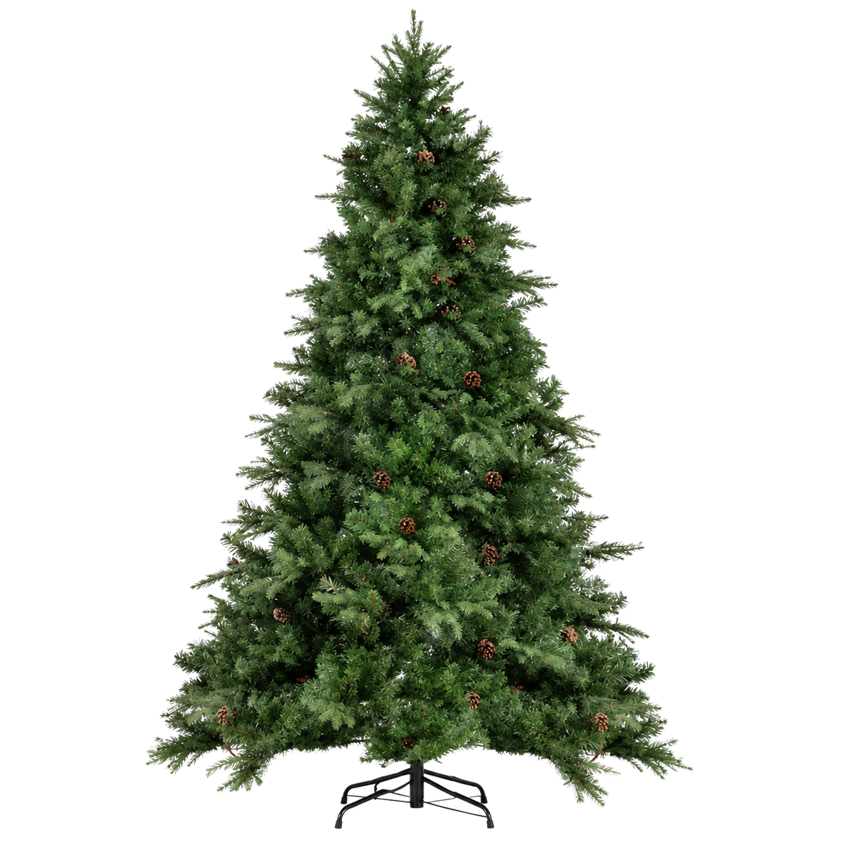Sapin Clairière vert dense pommes de pin extérieur | Sapin Élégance