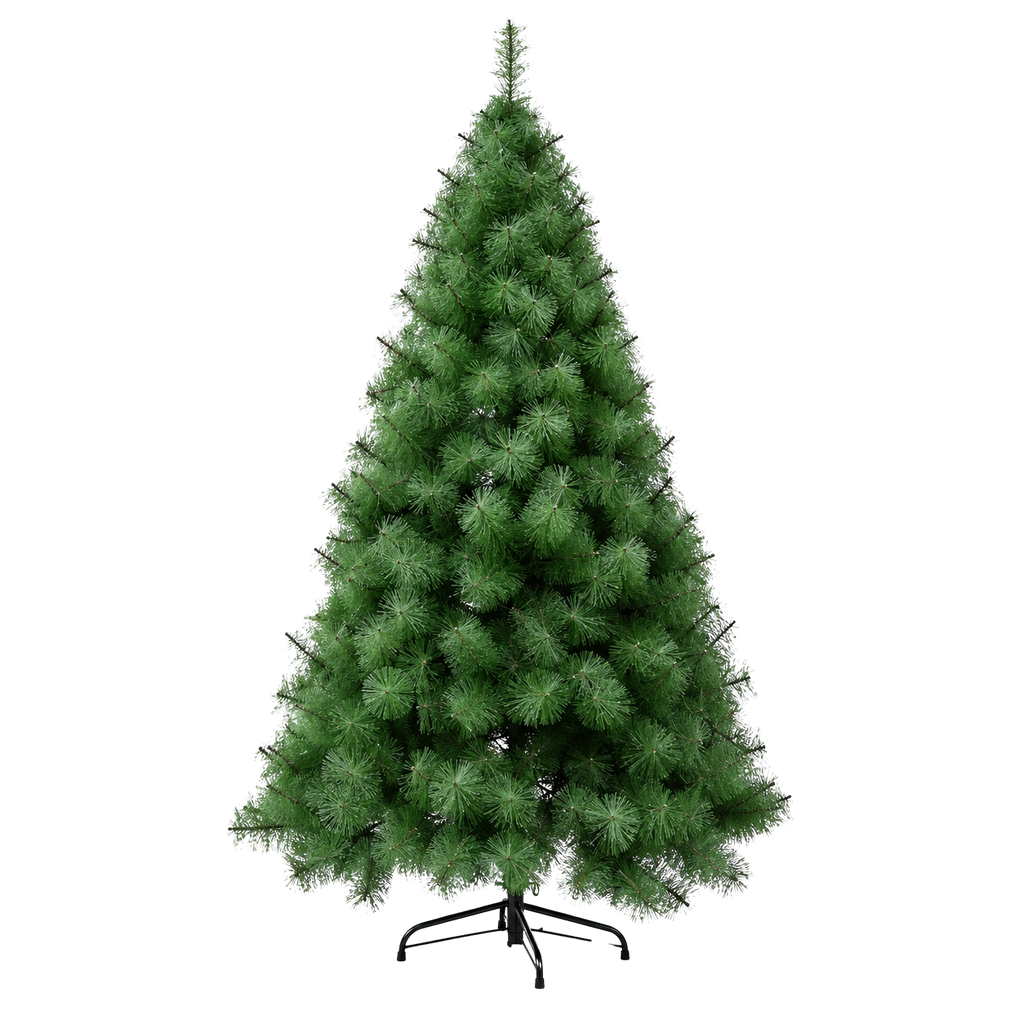 Sapin des Vosges aiguilles longues 6 tailles | Sapin Élégance
