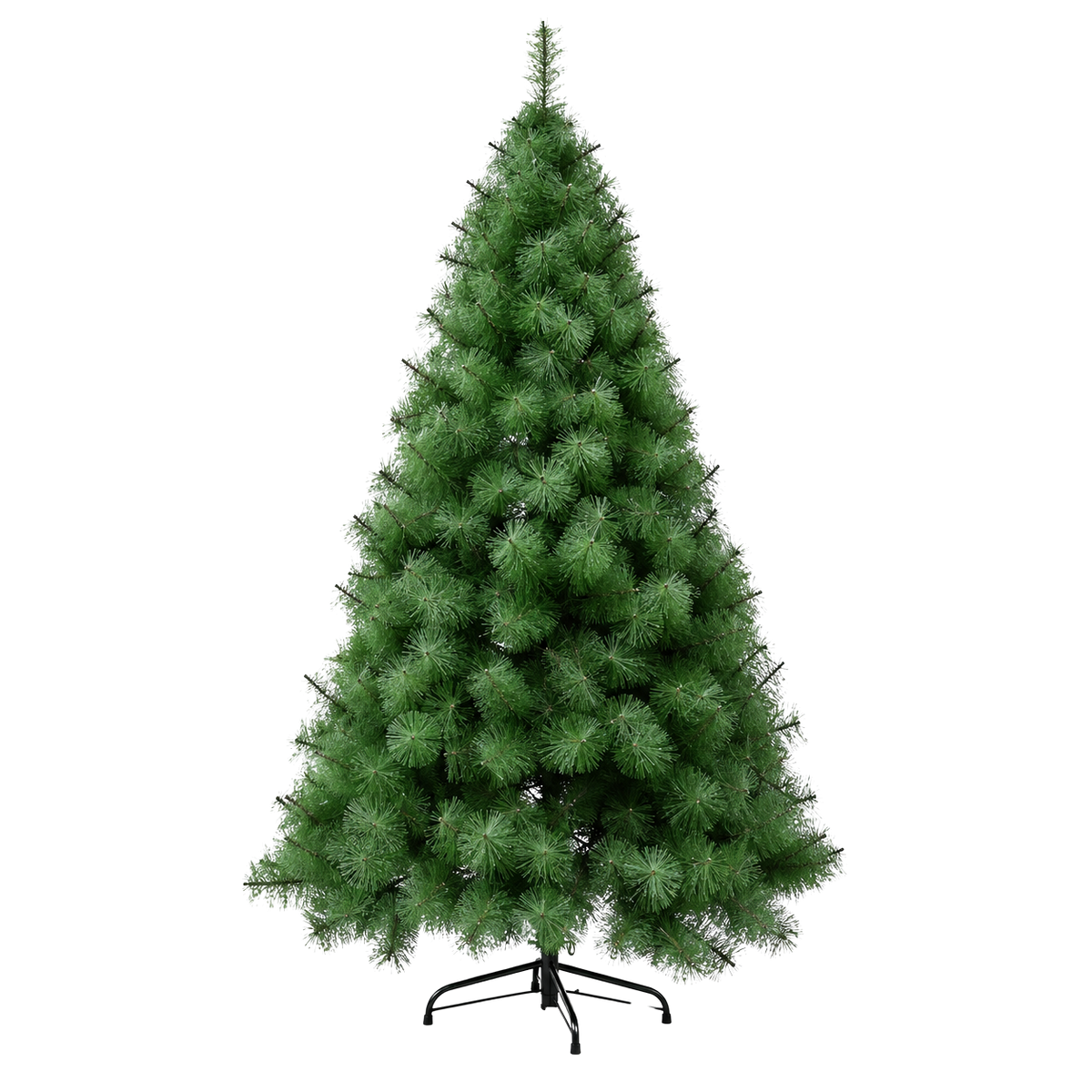 Sapin des Vosges aiguilles longues 6 tailles | Sapin Élégance