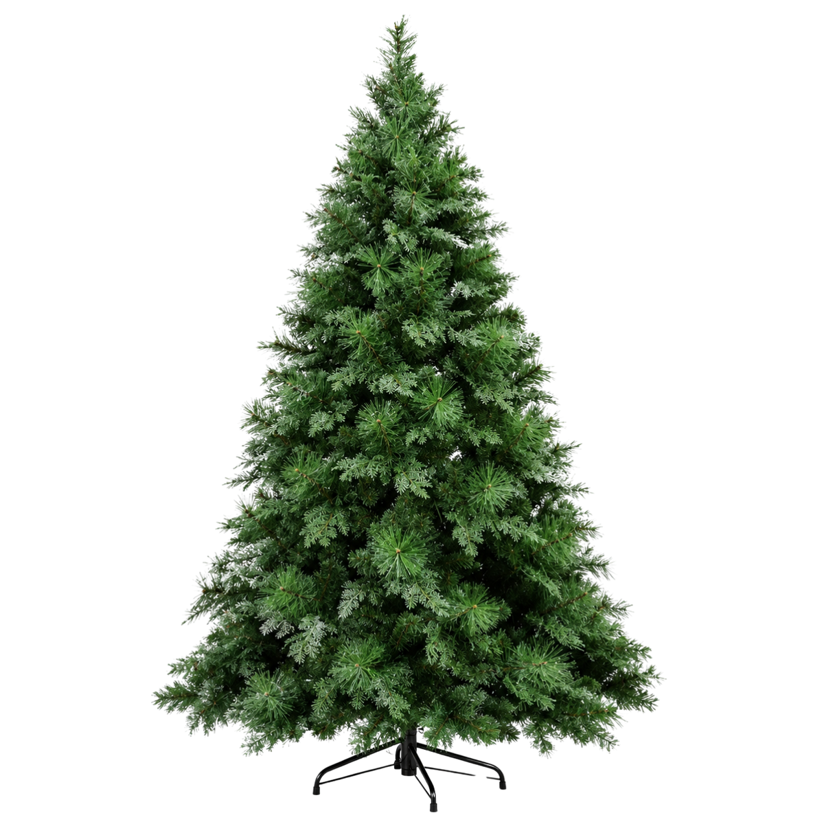 Sapin Forêt Noire aiguilles longues effet givré | Sapin Élégance