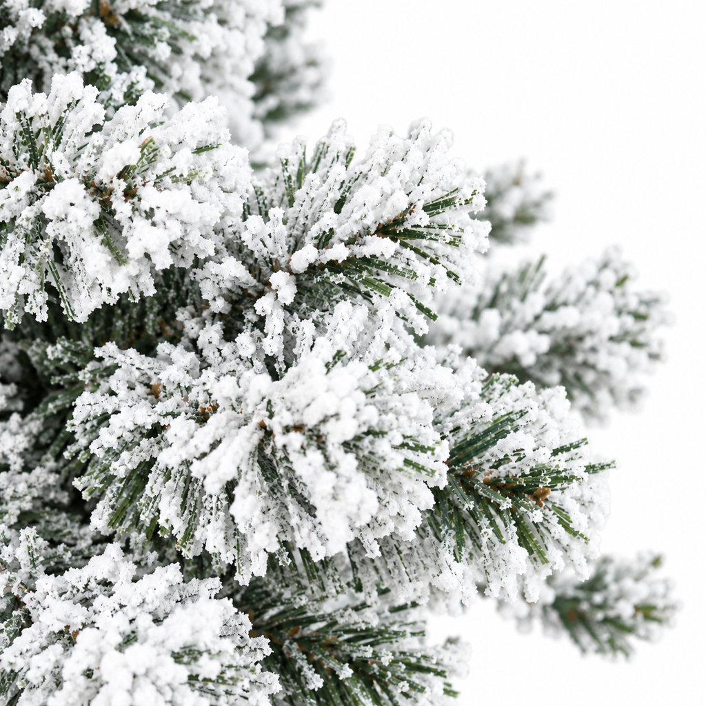 Sapin Petit Nuage | Sapin Élégance